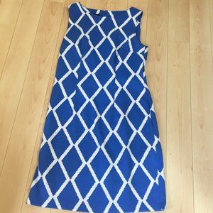Blue/White sleeveless dress